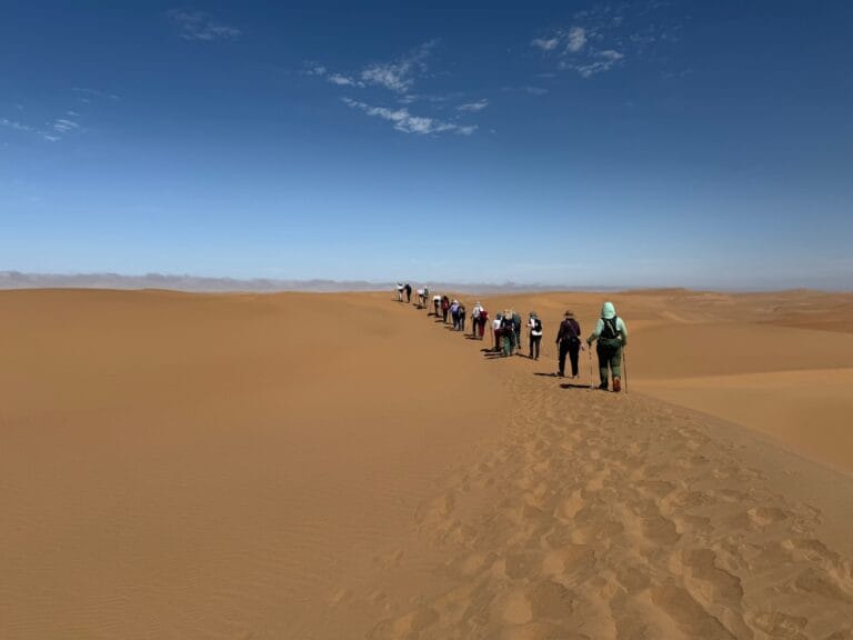 Expeditionsteilnehmer wandern in einer Linie über eine Sanddüne